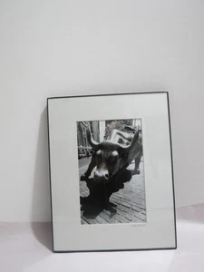 Fotografía firmada por AKI DAVIS escultura de toro de carga Nueva York - Imagen 1 de 7