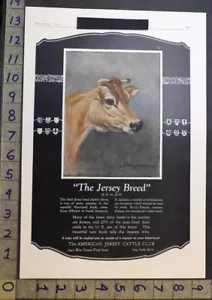 1925 AMERICAN JERSEY CATTLE CLUB COW MILK DAIRY EDWIN MEGARGEE ARTIST AD 33691 - Picture 1 of 1