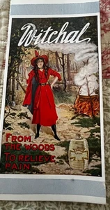 c1900 Witchal Vintage Brochure Essex Connecticut Witch Halloween Victorian - Picture 1 of 6