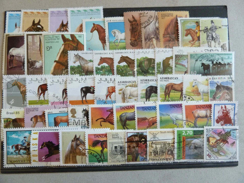 LOT  DE 50 TP OBLITERES  THEME "CHEVAL" - Photo 1/1