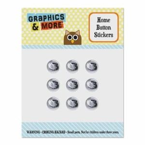 Dragons in Love Home Button Stickers Fit Apple iPhone - Picture 1 of 3