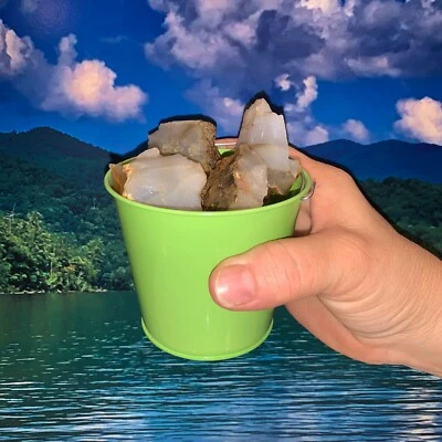 Bucket Full of Natural Agate Rough + FREE faceted gemstone - Pick Bucket Color - Image 1 of 3
