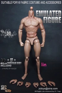 Auf Lager! ZCTOYS 1/6 Muscular Body S001 S002 - ähnlich TTM19 Wolverine Figur - Bild 1 von 13