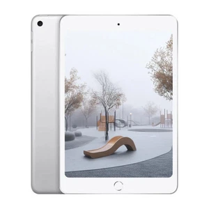 Apple iPad Mini 5 256GB Wifi + Cellular Silver - Excellent - Pre-owned - Picture 1 of 2