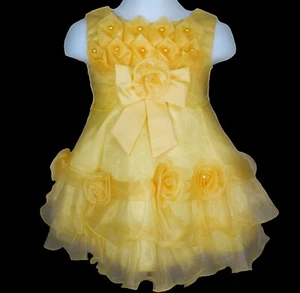 Baby Girl Flower Princess Dress Pageant Party Birthday Tutu Sz 3-6M Wedding Gown - Picture 1 of 12