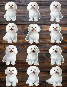 Maltese Dog Die Cut Vinyl Stickers Set Scrapbooking Laptop Waterbottle - Picture 1 of 1