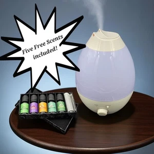 Color Changing Humidifier Built in Aroma Diffuser and Five Free Scents - Picture 1 of 11
