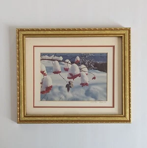 King Wu Signed And Numbered - 9x11 Framed Color Photo - Snow Covered Red Berries - Picture 1 of 8