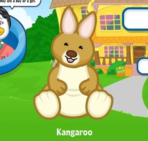 Webkinz Classic Kangaroo Pet Code Only - Picture 1 of 1