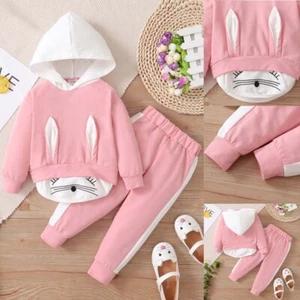 Toddler Baby Girls Tracksuit Tops+Pants Trouser Set Kids Clothes Pullover Outfit - Picture 1 of 9