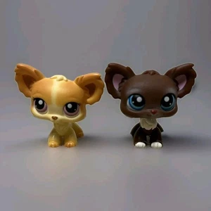 Littlest Pet Shop Chihuahua 2 Figure Lot  2005 LPS #96 & #219 Tan/Cream & Brown - Picture 1 of 10