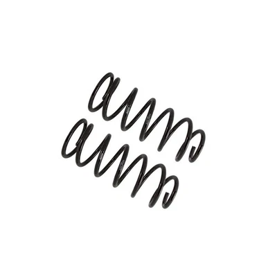 Rear Coil Spring Set FOR 2023 Toyota 4Runner 40th Anniversary Edition - Image 1 of 4