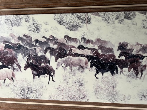 "Winter Stampede" by Frank Oberle, horse canvas wall art framed print