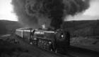 Up Union Pacific Train Engine No 8444, Type 4-8-4 Old Train Photo