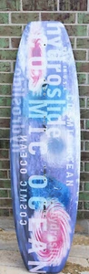 Hydroslide Air Profile Cosmic Ocean Model 142 cm Wakeboard - Picture 1 of 2