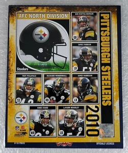 AFC NORTH DIVISION Pittsburgh Steelers Photo 2010 (Size: 8" x 10") - Picture 1 of 8