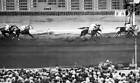 Race Horse Seabiscuit & Red Pollard Etc 1930S 39 Old Horse Racing Photo