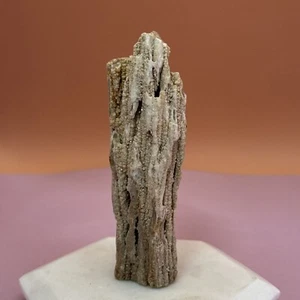 Crystallized Druzy petrified wood 4” Tall by 1.5”Wide Display Piece.Very Sparkly - Picture 1 of 24