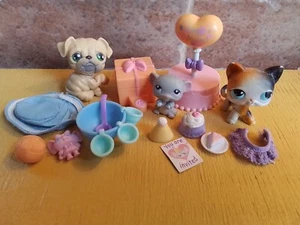 Littlest Pet Shop Birthday Celebration with Mouse #105 Cat #106 Bulldog#107 - Picture 1 of 6