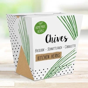 Homemade Herb Kit – All-in-One Kitchen Chives Grow Kit – Indoor Garden Planter - Picture 1 of 4