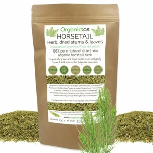 Hierba de cola de caballo té orgánico silicia natural para cabello, piel, uñas, desintoxicación, más... - Imagen 1 de 12