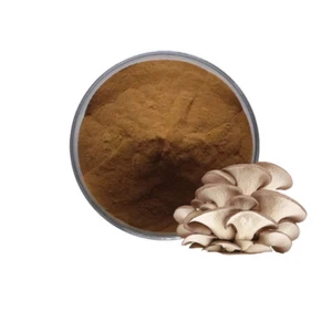 100g~500g Organic Maitake Mushroom Extract 30:1 Powder - Picture 1 of 1