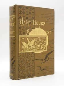Half Hours with a Naturalist 1897 Sea Shore / Insects / Victorian Gilt Binding - Bild 1 von 22