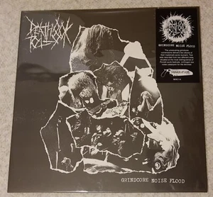 DEATH TOLL 80K - Grindcore Noise Flood LP napalm death bolt wormrot bolt thrower - Foto 1 di 7