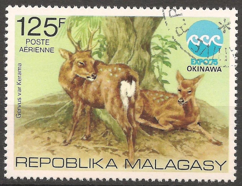 Malagasy Republic #C145 (A147) USED - 1975 125fr Deer / Expo - Image 1 of 1