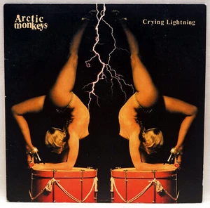 THE ARCTIC MONKEYS Crying Lightning Vinyl 7" Domino RUG338 UK 2009 EX/EX - Picture 1 of 3