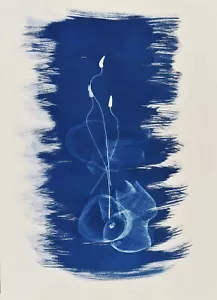Cianotipia 56,5x76,5 cm VORTICI SWIRLS, Rita Mungiardi, originale 2024 - Foto 1 di 12