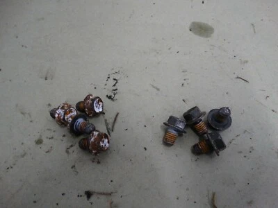 Yamaha Bear Tracker 250 2000 OEM placa de freno delantero pernos B320 Foto 1 de 4