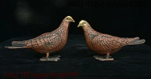 Old Chinese Bronze Symbolize Peaceful Peace Dove Pigeon Bird Animal Statue Pair - Picture 1 of 12