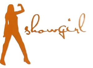 Showgirl/ Life of a Showgirl, Taylor Swift, Computer/Car/Cup Vinyl Decal 5x3 - Picture 1 of 3