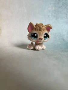 Littlest Pet Shop #1013 – Husky mit türkisfarbenen Augen LPS - Bild 1 von 7