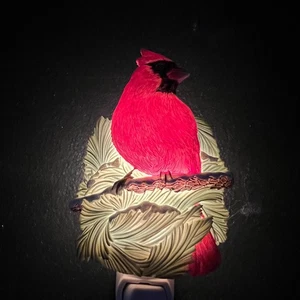 Blumen des Lichts Nachtlicht Kardinal Ibis und Orchidee Design getestet - Bild 1 von 7