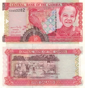 Gambia 5 Dalasi (2001) - Gril/Kingfisher/Cattle/p20a, B217a UNC - Picture 1 of 3