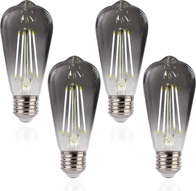 ST19 LED Edison Bulbs, 5000K White Light, Dimmable, Smoky Grey Glass, 4W, 4 Pack - Image 1 of 4
