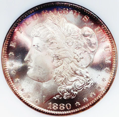 1880-S NGC Fatty MS64 Morgan Silver Dollar 292005 Cover