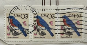 USA Briefmarke 3 Cent Eastern Bluebird 3 Briefmarken gestempelt USA - Bild 1 von 1
