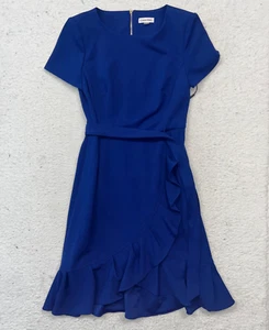 Calvin Klein Women's Short Sleeve Round Neck Ruffle Skirt Dress Size 8W NWT - Picture 1 of 7
