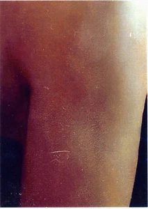 Alias Season 3 The Lost Years Foil Puzzle Card L8 Kendall - Picture 1 of 2