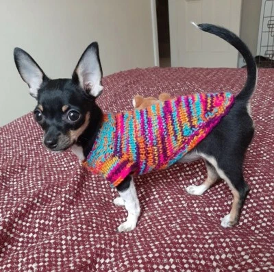 Teacup tiny chihuahua puppy kitten pink  knitted Jumper xxs.Orange Pink handmade - Image 1 of 4