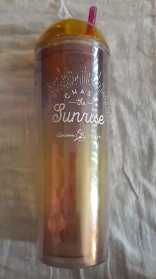 Caribou Coffee Iridescent Double Wall Cold Cup Tumbler 24 oz - Image 1 of 4