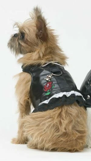 Arnés de cuero sintético para perro estilo motociclista estilo vestido Foto 1 de 3