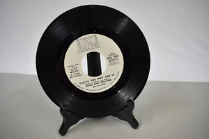 BOBBY EARL WILLIAMS That's The Way She Is / MONO STEREO IX Chains Soul 45 WLP NM - Imagen 1 de 2