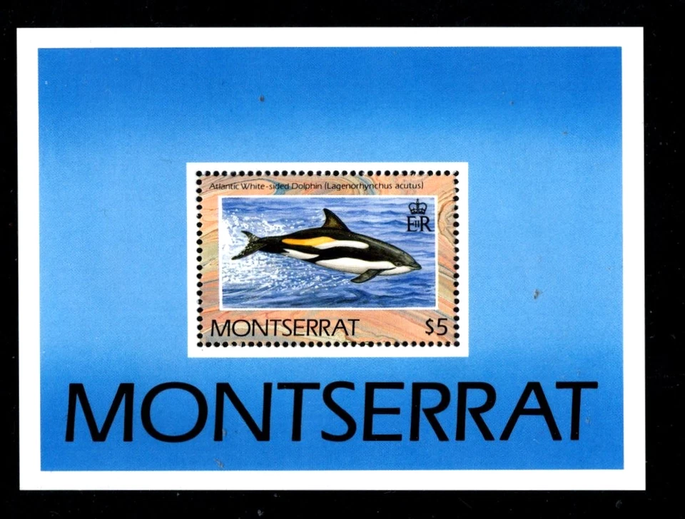 Montserrat 757 MNH Sheet Marine Life Dolphin     Nice Price - Image 1 of 1