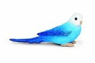 Blue Budgie by Safari Ltd/New 2013/toy/bird/parakeet/150629