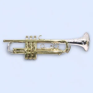 Tromba King Silvertone - Foto 1 di 7