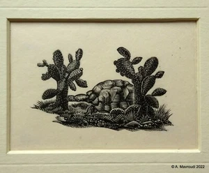 Robert Gibbings "Voyage of the Beagle" Original Print 1956 Artist Proof - Picture 1 of 9